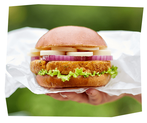 destaque-hamburguer-falafel-palmito-pupunha-oliveira