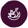 icon-site-oliveira-oliveira-doce-de-frutas-01